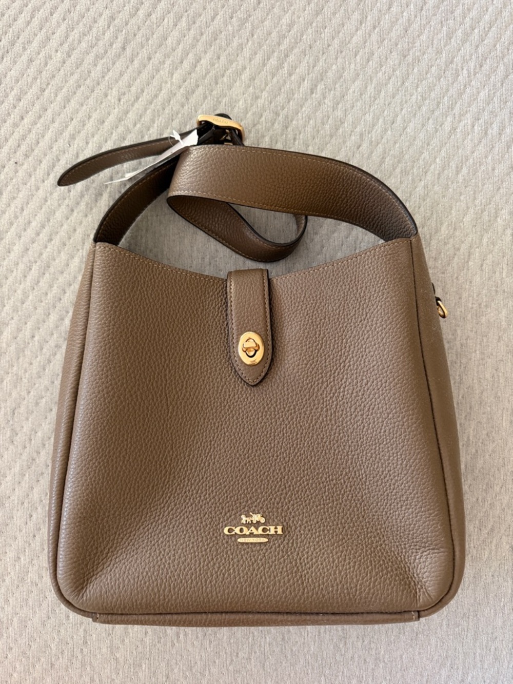 Coach Hadley Dark Stone Leather Convertible Bucket Bag NWT - Picture 2 of 9